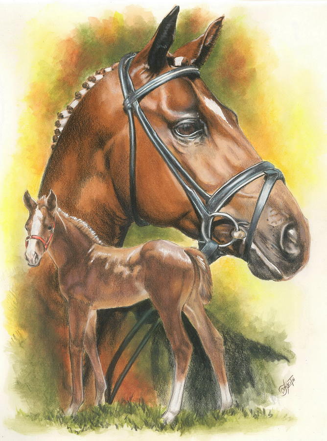 Trakehner Horse - Barbara Keith